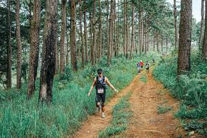 BIB: 
                            <button type="button" onclick="openModal(25661258)" class="btn btn-primary btn-sm float-right btn-popup" data-toggle="modal" data-target=".modal-high-quality">
                        <i class="fas fa-shopping-cart"></i> Add to Cart
                    </button>
                                            <button type="button" onclick="isThisMe(25661258, true)" class="btn btn-success btn-sm float-right btn-popup btn-isme hidden" data-toggle="tooltip" data-placement="bottom" title="นี่คือรูปของคุณใช่ไหม คลิกที่นี่เพื่อเอาเข้าอัลบั้ม">
                        <i class="fas fa-plus"></i> Add to album
                    </button>
                    <button type="button" onclick="isThisMe(25661258, false)" class="btn btn-warning btn-sm float-right btn-popup btn-isnotme hidden">
                        <i class="fas fa-ban"></i> Remove from album
                    </button>